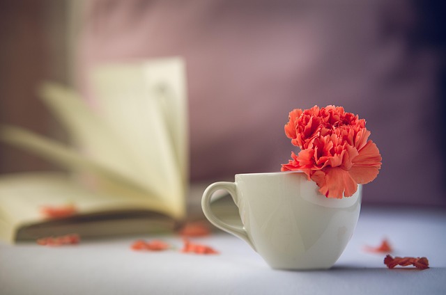 What Can Affect Your Home Equity Over Time