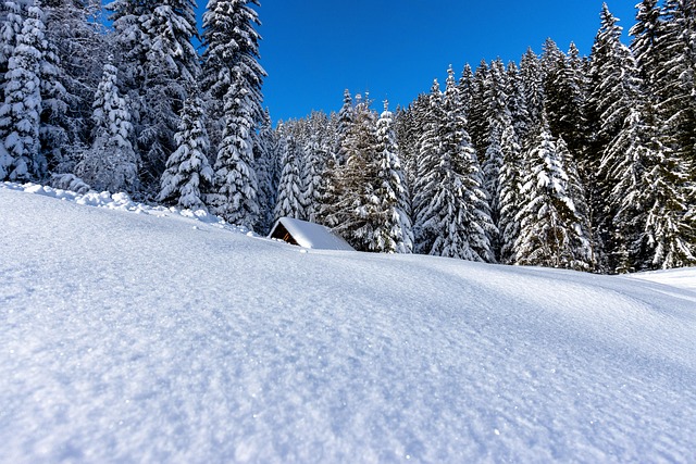 Black Forest Resorts for Quiet Retreats