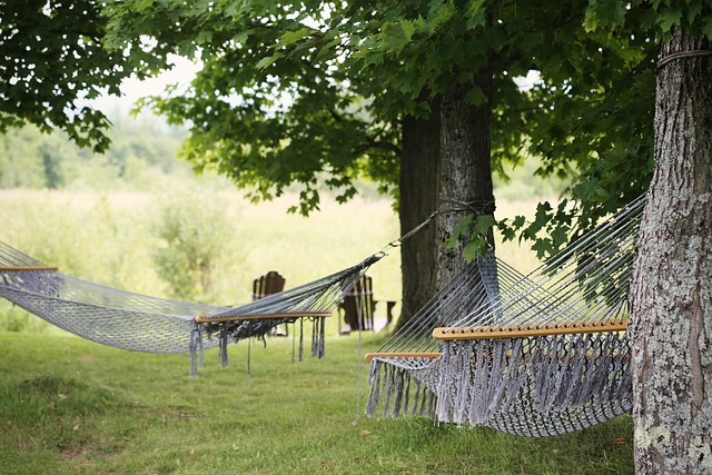 Carpathian Villas for Peaceful Escapes
