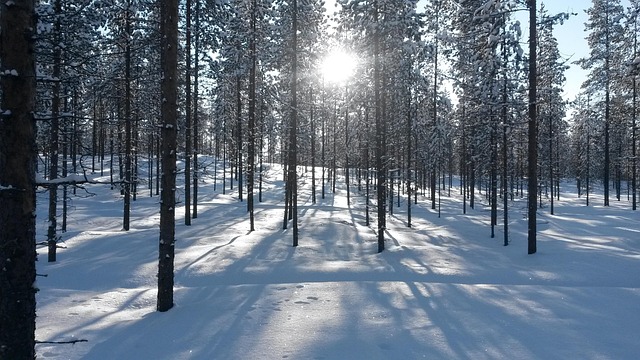 Finland Forest Villas for Quiet Escapes