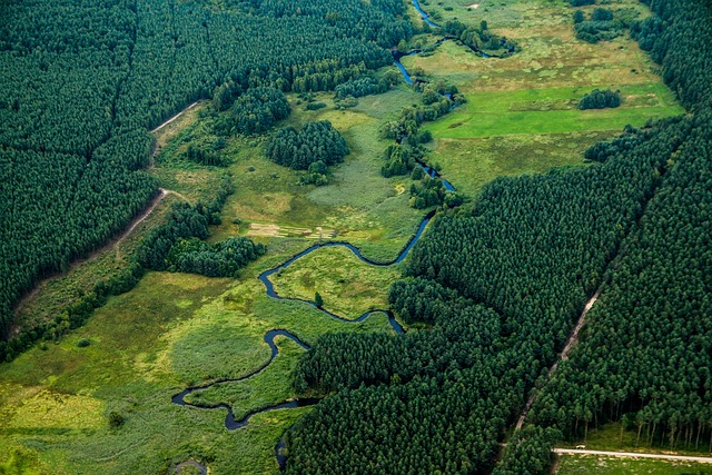 Poland Forest Resorts for Nature Retreats