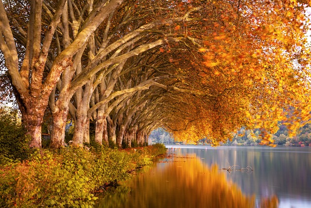 Poland Hotels Near Quiet Lakes