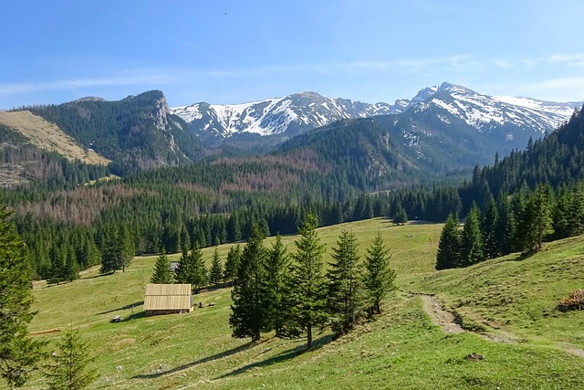 Tatra Mountain Resorts for Scenic Trips