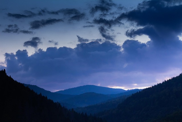 Ukraine Forest Villas for Quiet Retreats